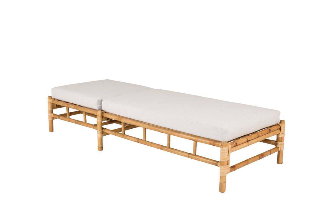 Cane Solstol