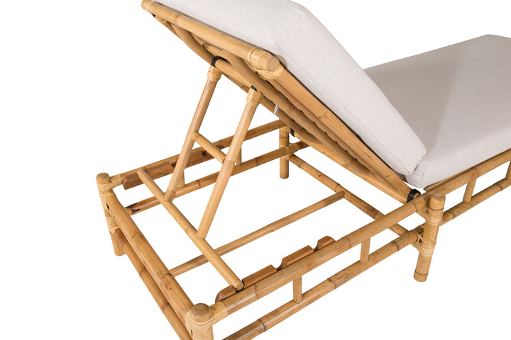 Cane Solstol