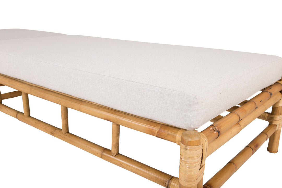 Cane Solstol