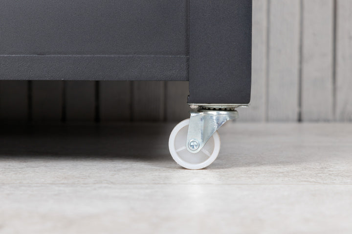 Elsa Dynbox
