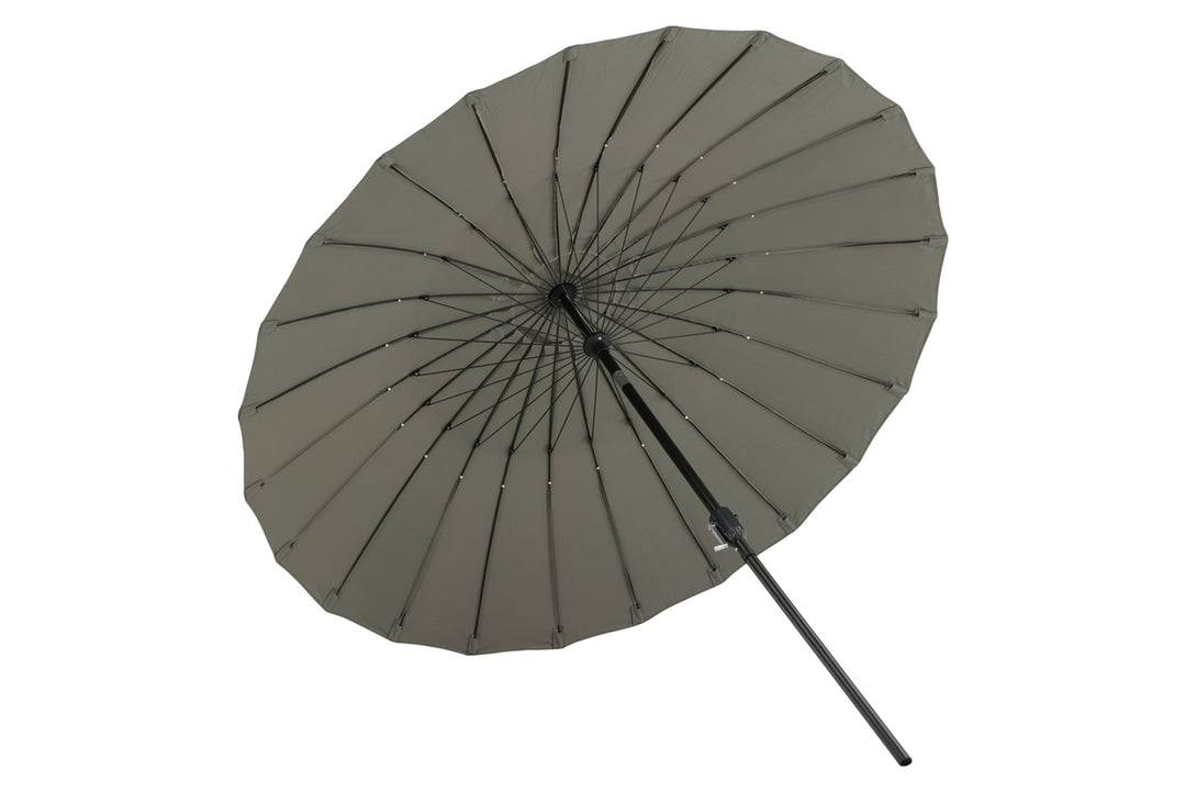Palmetto Parasoll