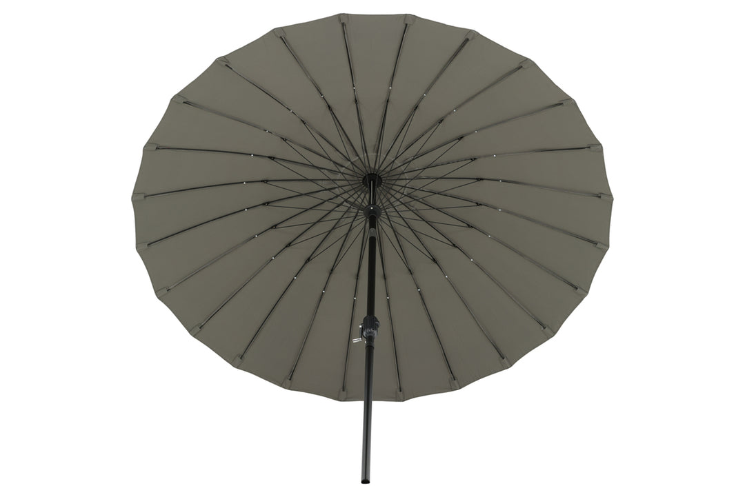 Palmetto Parasoll