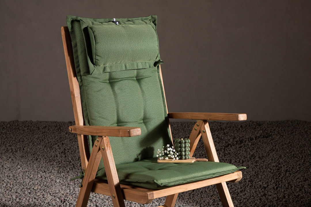 Olive Dyna 116 x 46