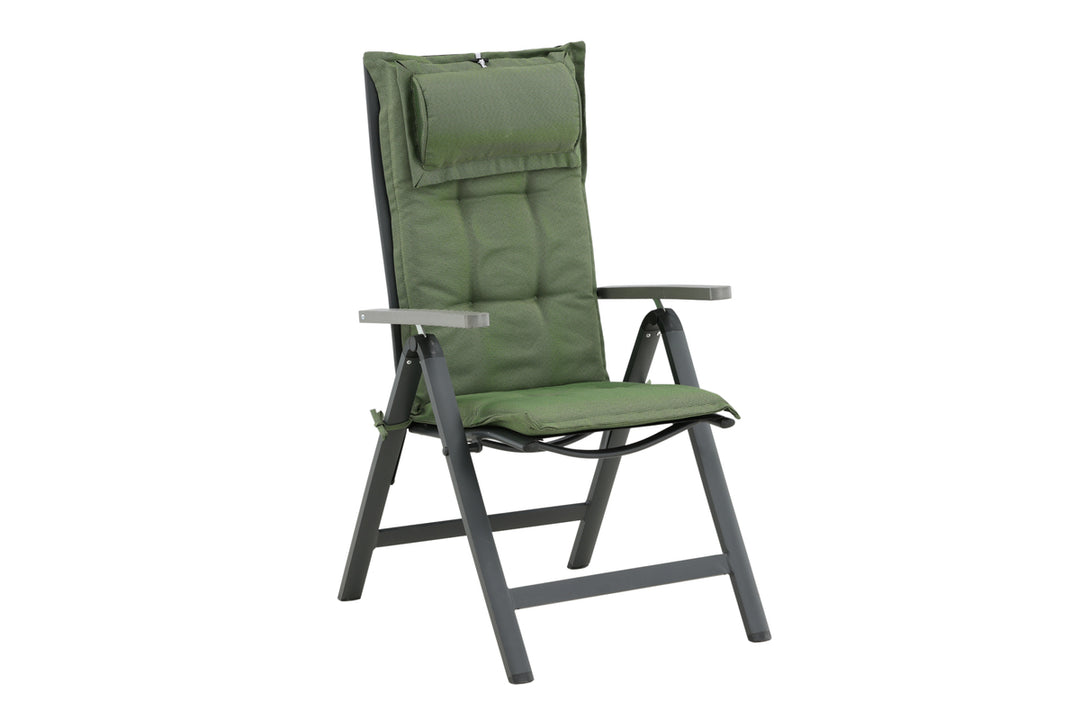 Olive Dyna 116 x 46