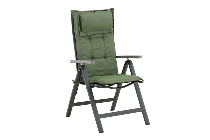 Olive Dyna 116 x 46