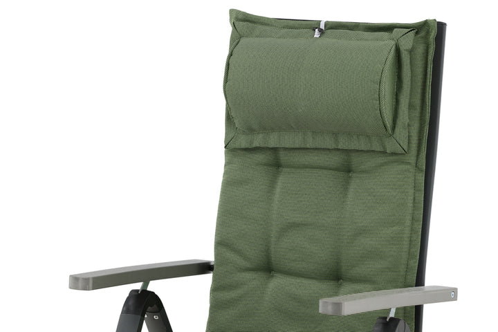 Olive Dyna 116 x 46