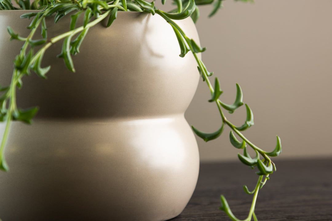 Dapne Kruka Matte beige